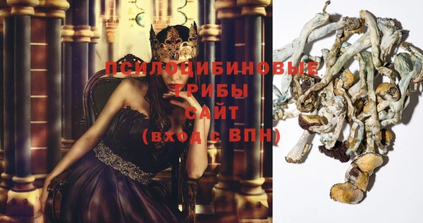 mdpv Балахна