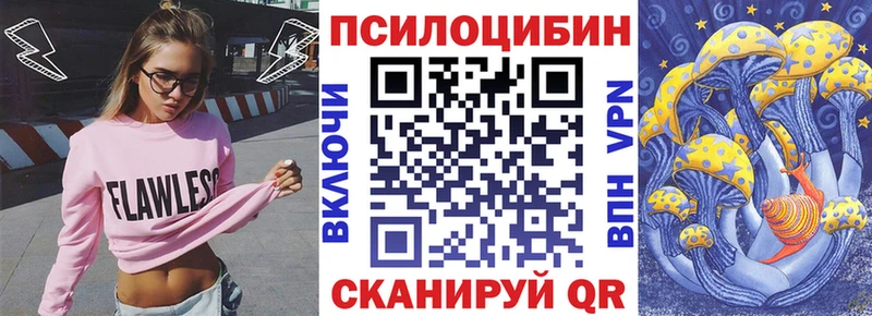 MEGA вход  Чекалин  Галлюциногенные грибы Psilocybine cubensis 